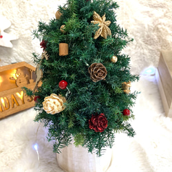 早割クリスマス2023 creema限定 プリザーブドドライフラワーキラキラのトナカイに木の実 卓上クリスマスツリー 5枚目の画像