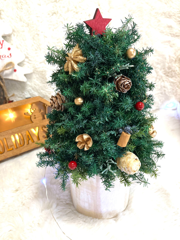 早割クリスマス2023 creema限定 プリザーブドドライフラワーキラキラのトナカイに木の実 卓上クリスマスツリー 4枚目の画像