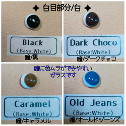 ドイツ製グラスアイ ぽんち目 4～8mm