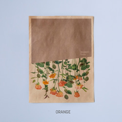 GIFT BAG【クラフト紙】ORANGE 3枚目の画像