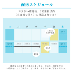  第5張的照片