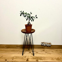 【アイアン マルチスタンド】観葉植物 サイドテーブル　カフェテーブル ミニテーブル ナチュラル 北欧 ラック 5枚目の画像