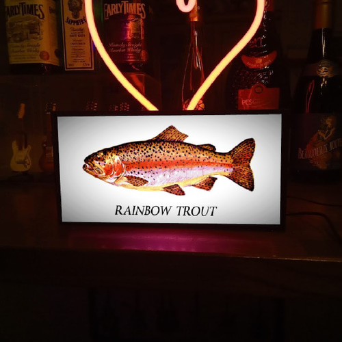虹鱒 ニジマス レインボートラウト 釣り フィッシング 魚 湖 虹鱒 ニジマス レインボートラウト 釣り フィッシング 魚 湖