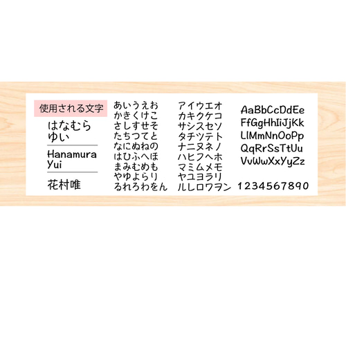 お名前シールオーダーページ サイズオーダー】アイロンお名前シール (お花柄ブルー) 名前