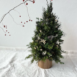 ✳︎new arrival✳︎christmastreeクリスマスツリー③white