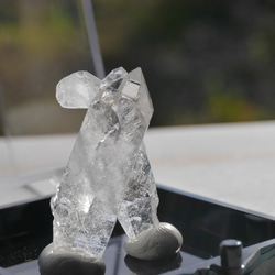 天然石 約8g ケース高さ約52mm 水晶クラスター(ゼカ・デ・ソウザ産)ラベル付き[zqkit-221120-04] 9枚目の画像