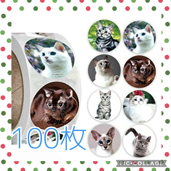 ギフトシール　100枚　猫　ネコ　サンキューシール 1枚目の画像