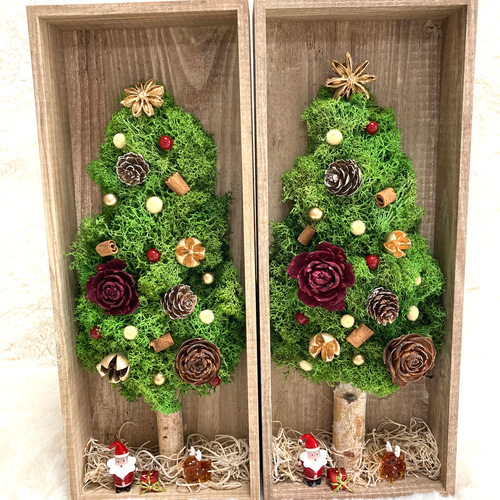 【受注生産】ドライフラワー クリスマスツリー 冬 クリスマス 超早割クリスマス2025 壁かけカゴクリスマスツリーアレンジ
