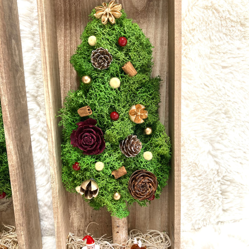 超早割クリスマス2025 プリザーブドドライフラワーウッドフレーム