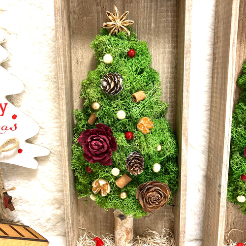 超早割クリスマス2025 プリザーブドドライフラワーウッド