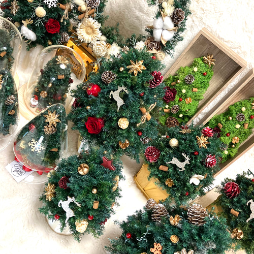 超早割クリスマス2025 プリザーブドドライフラワーウッド