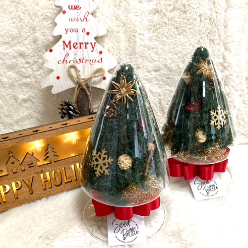 超早割クリスマス2025 プリザーブドドライフラワーシードボトル