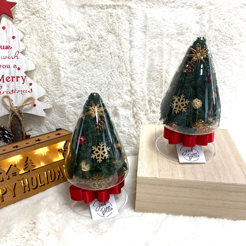 超早割クリスマス2025 プリザーブドドライフラワーシードボトル