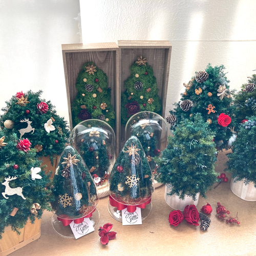 セール！ドライフラワー＊クリスマスツリー 楽天市場】クリスマス スワッグ ツリー セット プリザーブド ドライ