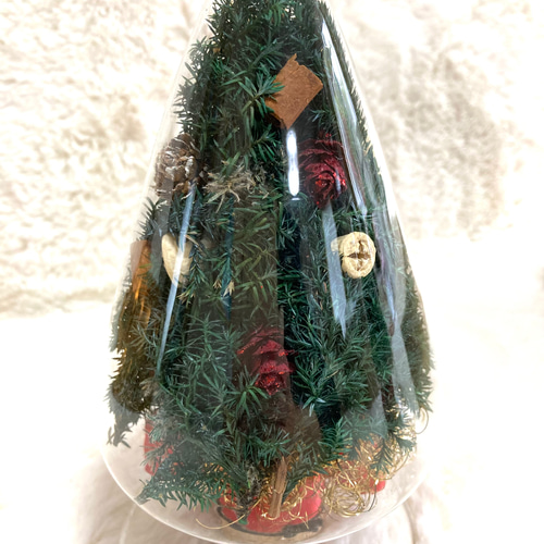 超早割クリスマス2025 プリザーブドドライフラワーシードボトル