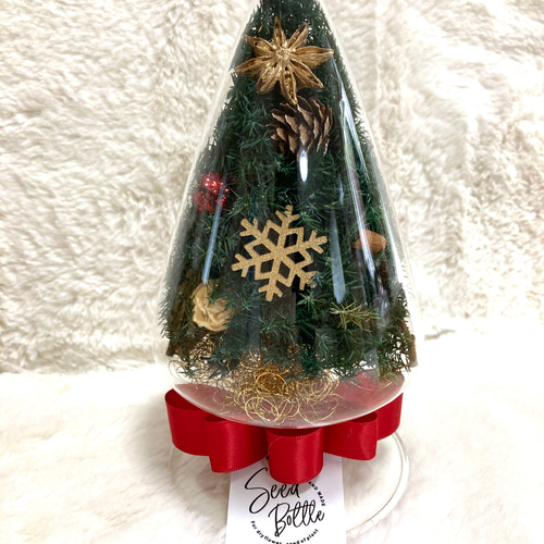 超早割クリスマス2025 プリザーブドドライフラワーシードボトル