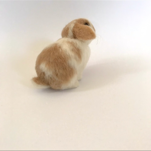 うさぎ 羊毛フェルト ロップイヤー ホーランドロップ ミニうさぎ