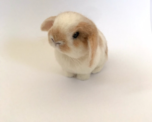 うさぎ 羊毛フェルト ロップイヤー ホーランドロップ ミニうさぎ