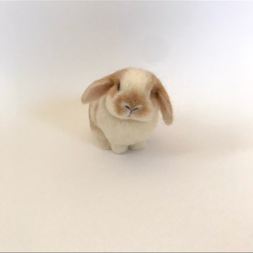 うさぎ 羊毛フェルト ロップイヤー ホーランドロップ ミニうさぎ