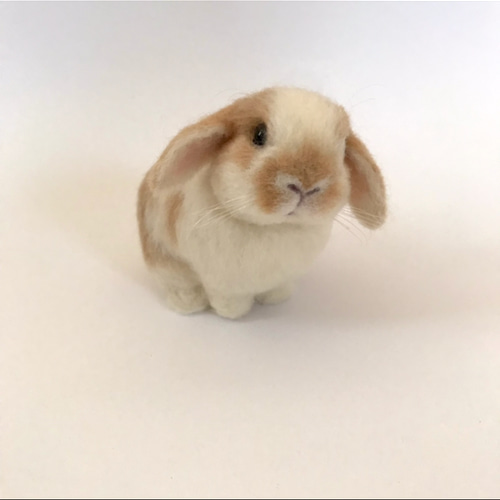 うさぎ 羊毛フェルト ロップイヤー ホーランドロップ ミニうさぎ