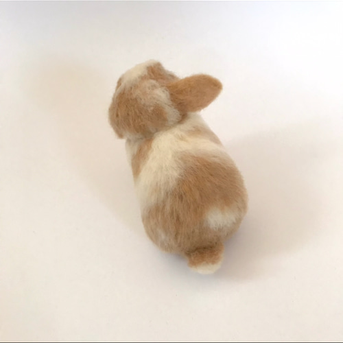 うさぎ 羊毛フェルト ロップイヤー ホーランドロップ ミニうさぎ