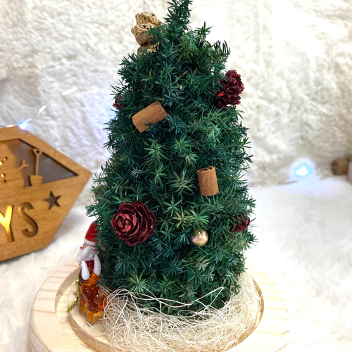 超早割クリスマス2025 プリザーブドドライフラワーガラスドーム