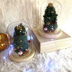 クリスマス　飾り 超早割クリスマス2025 プリザーブドドライフラワーガラスドーム