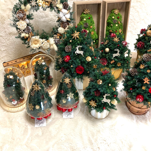 超早割クリスマス2025 プリザーブドドライフラワーガラスドーム