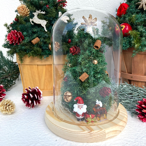 超早割クリスマス2025 プリザーブドドライフラワーガラスドーム