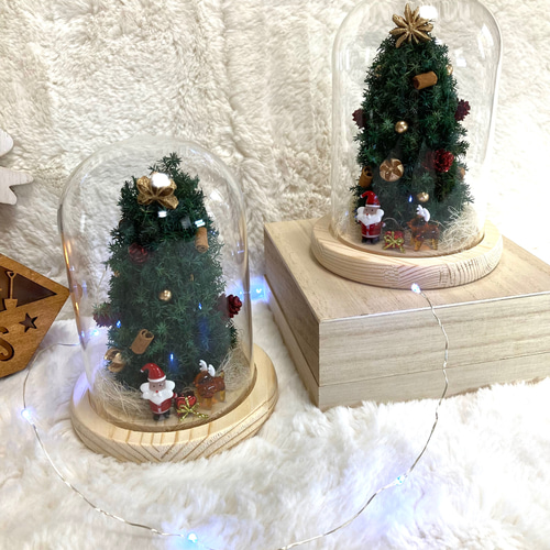 真っ白なクリスマスツリー/ドライフラワー プリザープドフラワー