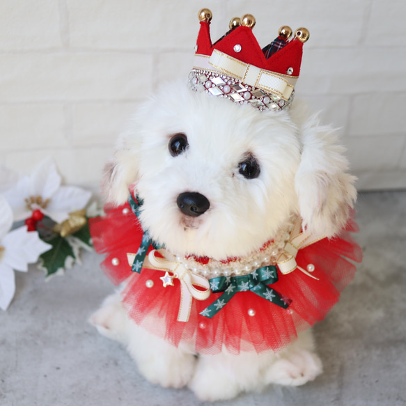 《特集掲載❣️ribbon christmas choker"クリスマスのおめかしに..チョーカー/クリスマス撮影会にも 15枚目の画像