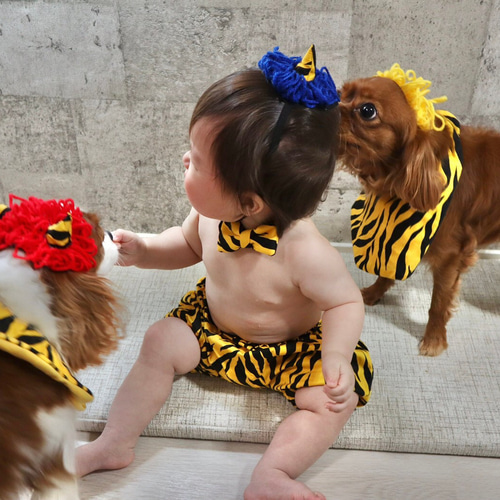 2023年限定カラー♡節分 鬼のツノ 1本ツノ 2本つの 雑貨・その他 nano