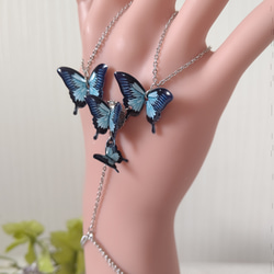 【手の甲ブレスレット♪】フィンガーリング。オオルリアゲハ  青い蝶 蝶々ブレスレット 13枚目の画像