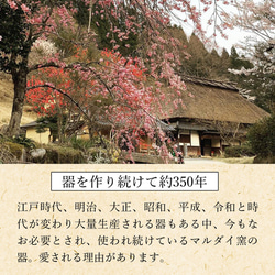 Koishiwarayaki Sansai 飯碗米飯碗棕色棕色12cm Marudai 窯陶飯碗時尚 第15張的照片