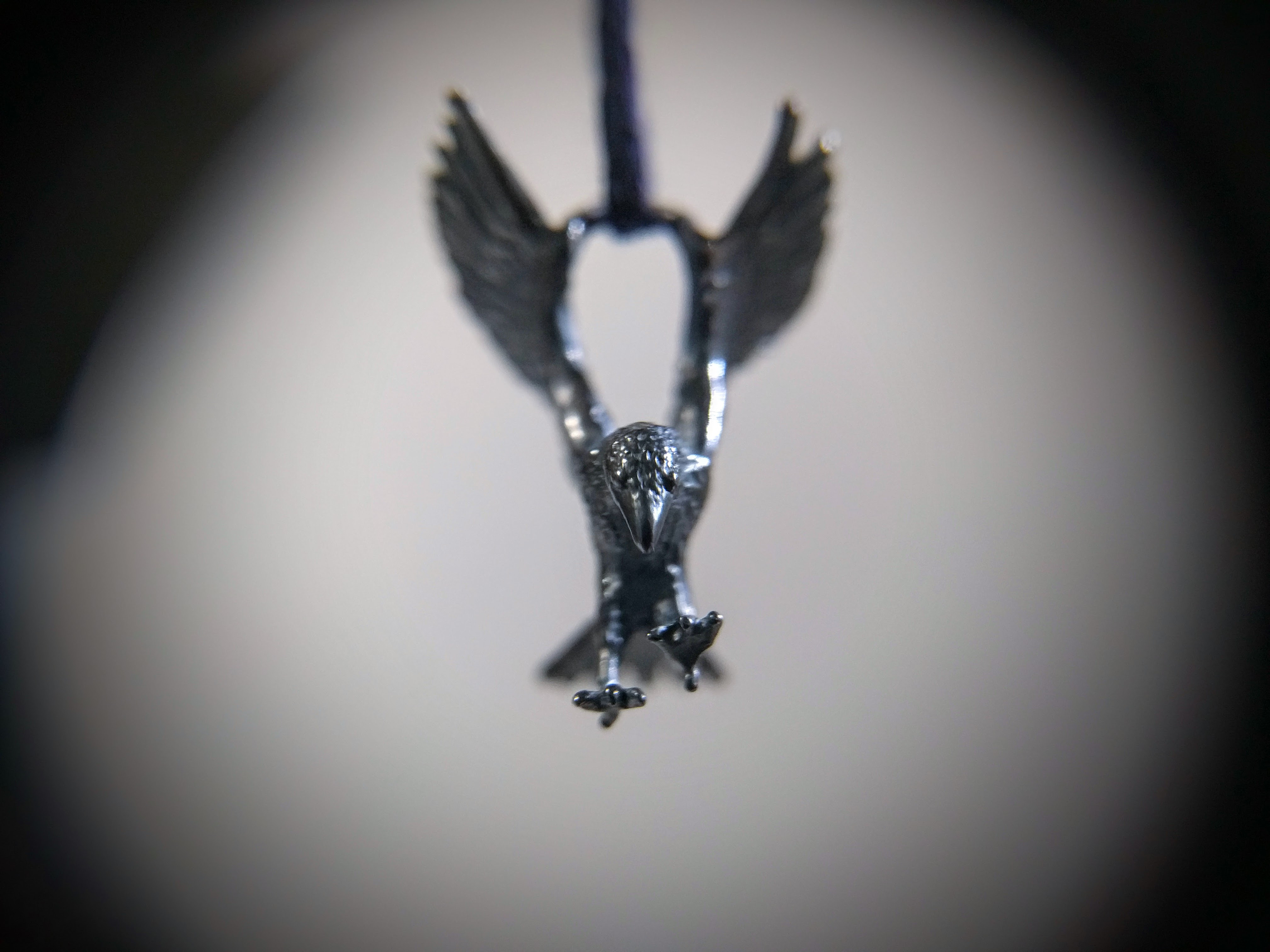 カラスの片耳飾り