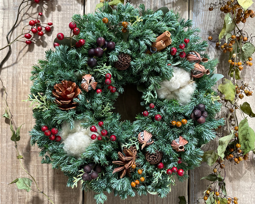 3661d2af096fd310017f8db54c03bd