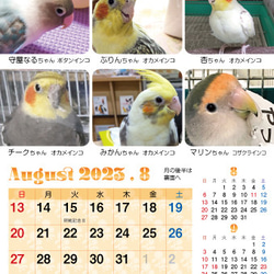 2023年 鳥づくし卓上カレンダー インコ  小鳥 カレンダー 2023卓上（全163羽掲載） 18枚目の画像