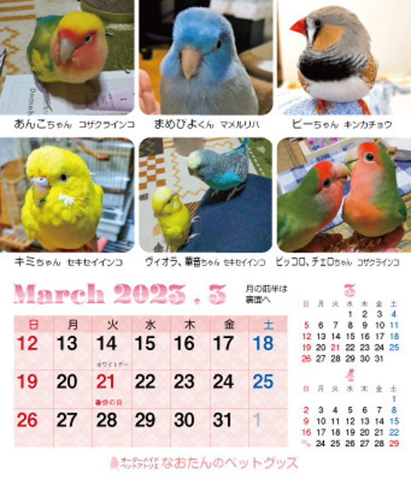 2023年 鳥づくし卓上カレンダー インコ  小鳥 カレンダー 2023卓上（全163羽掲載） 8枚目の画像
