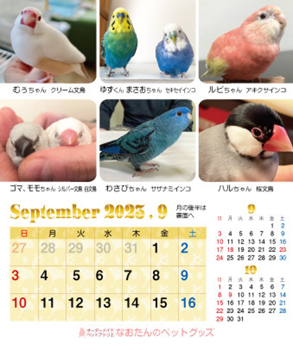 2023年 鳥づくし卓上カレンダー インコ  小鳥 カレンダー 2023卓上（全163羽掲載） 19枚目の画像