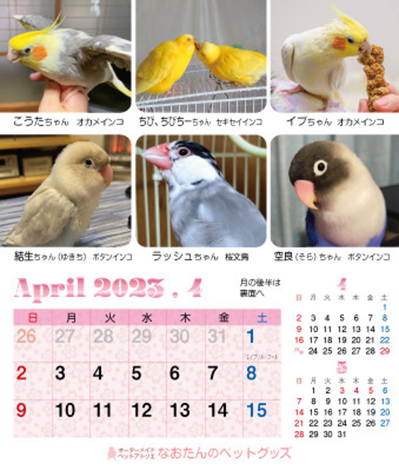 2023年 鳥づくし卓上カレンダー インコ  小鳥 カレンダー 2023卓上（全163羽掲載） 9枚目の画像