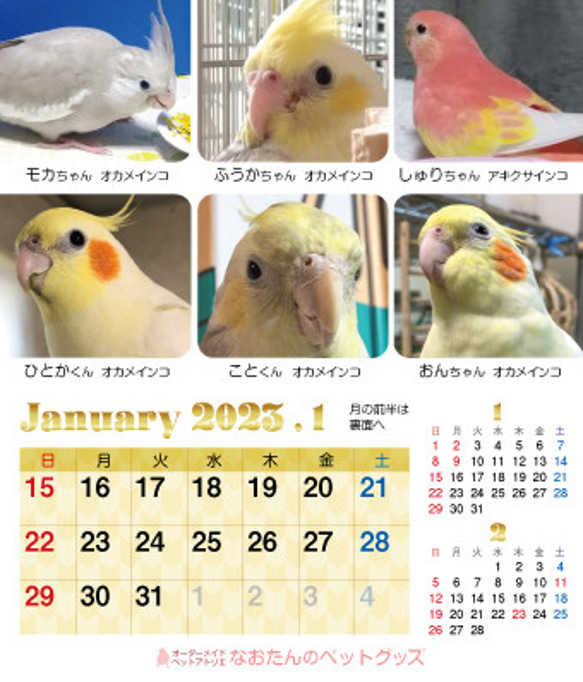 2023年 鳥づくし卓上カレンダー インコ  小鳥 カレンダー 2023卓上（全163羽掲載） 4枚目の画像