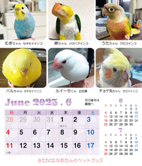 2023年 鳥づくし卓上カレンダー インコ  小鳥 カレンダー 2023卓上（全163羽掲載） 13枚目の画像