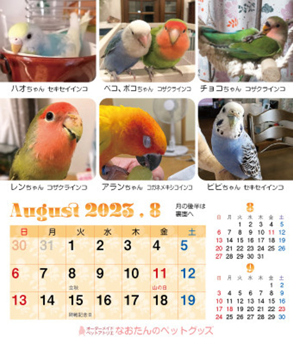 2023年 鳥づくし卓上カレンダー インコ  小鳥 カレンダー 2023卓上（全163羽掲載） 17枚目の画像