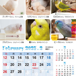 2023年裝滿鳥的桌曆 鸚鵡小鳥日曆 2023年桌曆（列出163隻鳥） 第6張的照片