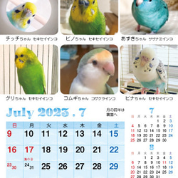 2023年 鳥づくし卓上カレンダー インコ  小鳥 カレンダー 2023卓上（全163羽掲載） 16枚目の画像