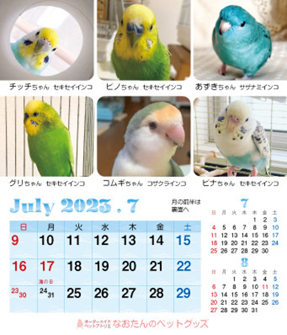 2023年 鳥づくし卓上カレンダー インコ  小鳥 カレンダー 2023卓上（全163羽掲載） 16枚目の画像