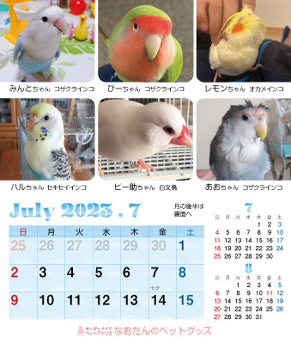 2023年 鳥づくし卓上カレンダー インコ  小鳥 カレンダー 2023卓上（全163羽掲載） 15枚目の画像