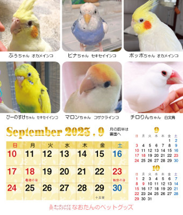 2023年 鳥づくし卓上カレンダー インコ  小鳥 カレンダー 2023卓上（全163羽掲載） 20枚目の画像