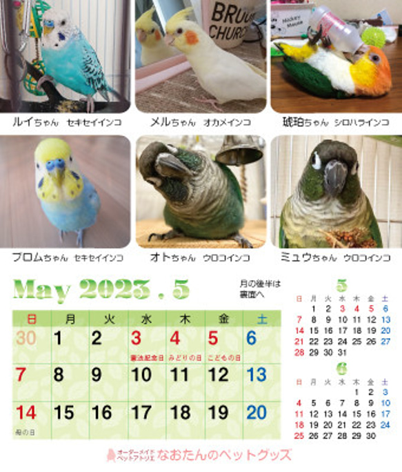 2023年裝滿鳥的桌曆 鸚鵡小鳥日曆 2023年桌曆（列出163隻鳥） 第11張的照片