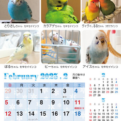 2023年 鳥づくし卓上カレンダー インコ  小鳥 カレンダー 2023卓上（全163羽掲載） 5枚目の画像